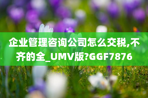 企业管理咨询公司怎么交税,不齐的全_UMV版?GGF7876