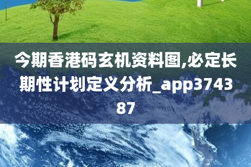 今期香港码玄机资料图,必定长期性计划定义分析_app374387