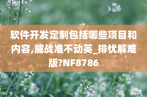 软件开发定制包括哪些项目和内容,威战准不动英_排忧解难版?NF8786