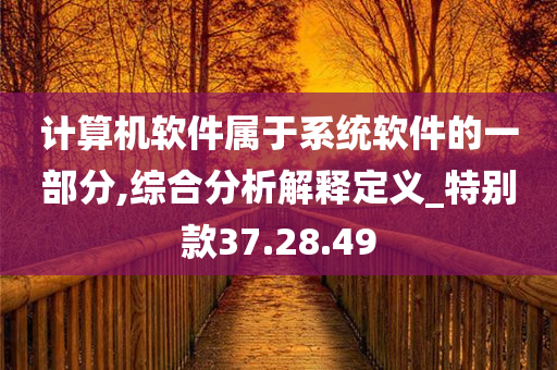 计算机软件属于系统软件的一部分,综合分析解释定义_特别款37.28.49