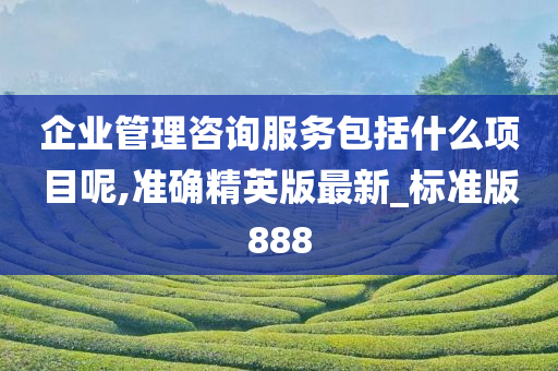 企业管理咨询服务包括什么项目呢,准确精英版最新_标准版888