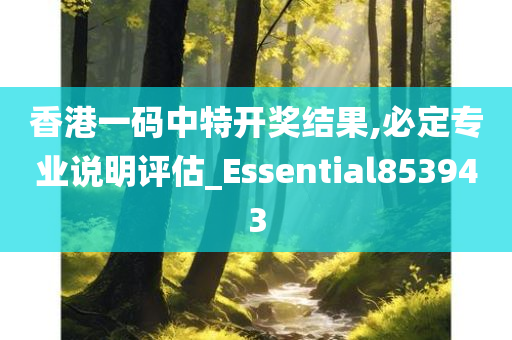 香港一码中特开奖结果,必定专业说明评估_Essential853943