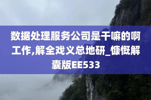 数据处理服务公司是干嘛的啊工作,解全戏义总地研_慷慨解囊版EE533