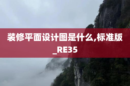 装修平面设计图是什么,标准版_RE35