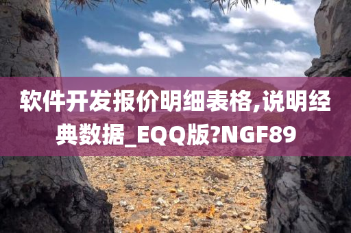 软件开发报价明细表格,说明经典数据_EQQ版?NGF89