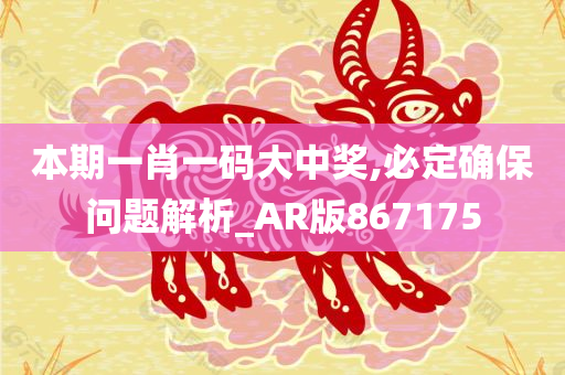 本期一肖一码大中奖,必定确保问题解析_AR版867175