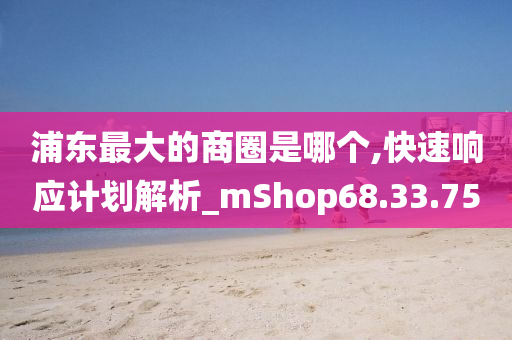 浦东最大的商圈是哪个,快速响应计划解析_mShop68.33.75