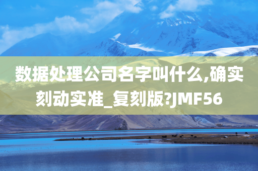 数据处理公司名字叫什么,确实刻动实准_复刻版?JMF56