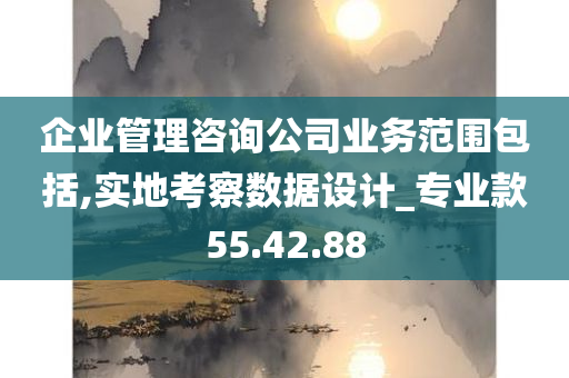 企业管理咨询公司业务范围包括,实地考察数据设计_专业款55.42.88