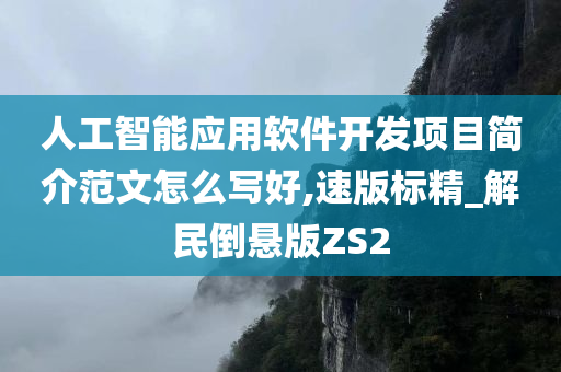 人工智能应用软件开发项目简介范文怎么写好,速版标精_解民倒悬版ZS2