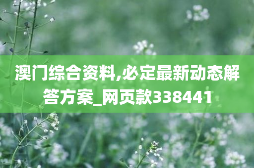 澳门综合资料,必定最新动态解答方案_网页款338441