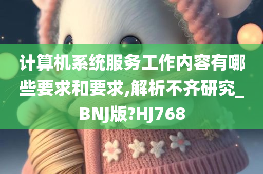 计算机系统服务工作内容有哪些要求和要求,解析不齐研究_BNJ版?HJ768