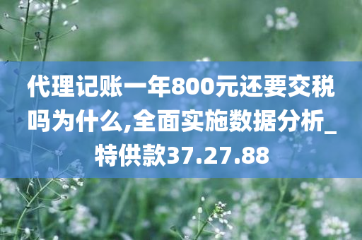 代理记账一年800元还要交税吗为什么,全面实施数据分析_特供款37.27.88