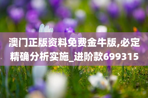 澳门正版资料免费金牛版,必定精确分析实施_进阶款699315