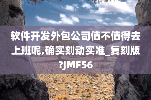 软件开发外包公司值不值得去上班呢,确实刻动实准_复刻版?JMF56