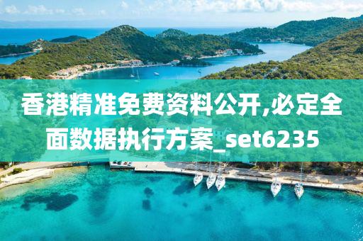 香港精准免费资料公开,必定全面数据执行方案_set6235