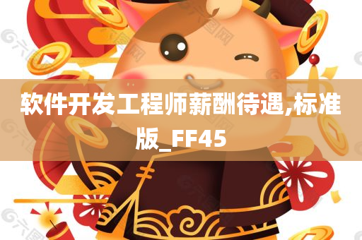 软件开发工程师薪酬待遇,标准版_FF45