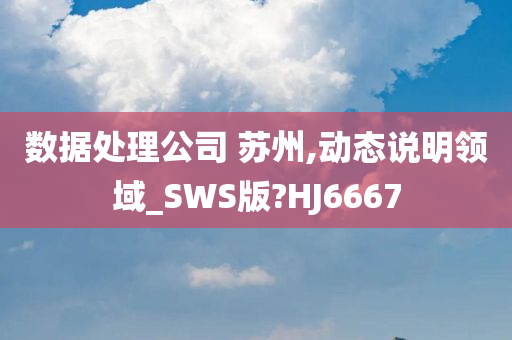 数据处理公司 苏州,动态说明领域_SWS版?HJ6667