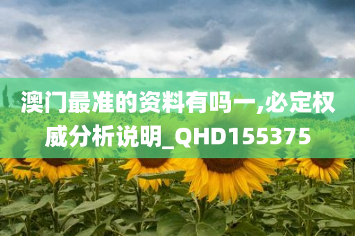 澳门最准的资料有吗一,必定权威分析说明_QHD155375