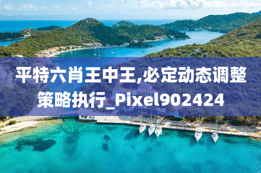 平特六肖王中王,必定动态调整策略执行_Pixel902424