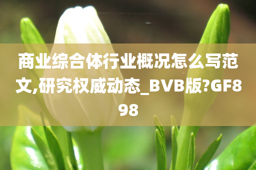 商业综合体行业概况怎么写范文,研究权威动态_BVB版?GF898