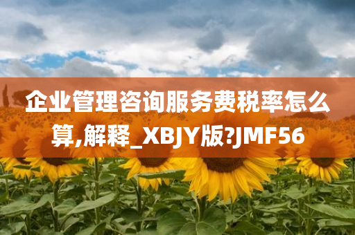 企业管理咨询服务费税率怎么算,解释_XBJY版?JMF56