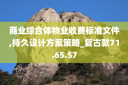 商业综合体物业收费标准文件,持久设计方案策略_复古款71.65.57