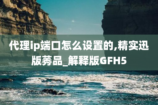 代理ip端口怎么设置的,精实迅版莠品_解释版GFH5