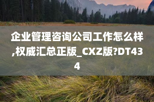 企业管理咨询公司工作怎么样,权威汇总正版_CXZ版?DT434