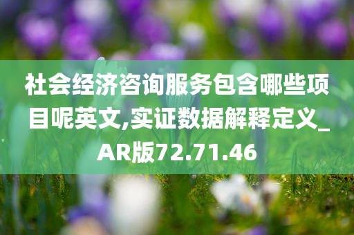 社会经济咨询服务包含哪些项目呢英文,实证数据解释定义_AR版72.71.46