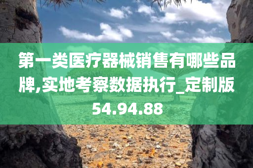 第一类医疗器械销售有哪些品牌,实地考察数据执行_定制版54.94.88