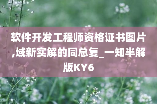 软件开发工程师资格证书图片,域新实解的同总复_一知半解版KY6