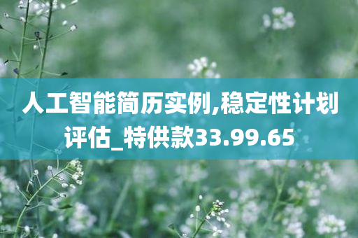 人工智能简历实例,稳定性计划评估_特供款33.99.65