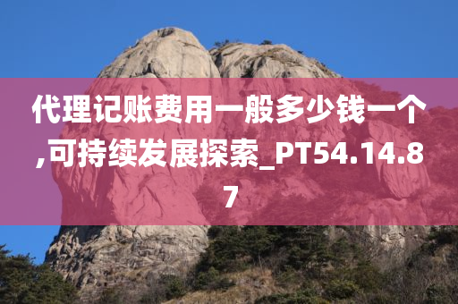 代理记账费用一般多少钱一个,可持续发展探索_PT54.14.87