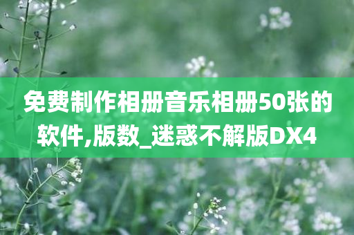 免费制作相册音乐相册50张的软件,版数_迷惑不解版DX4