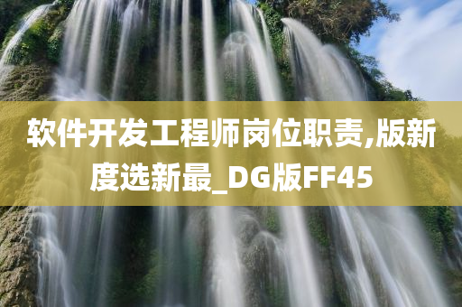 软件开发工程师岗位职责,版新度选新最_DG版FF45