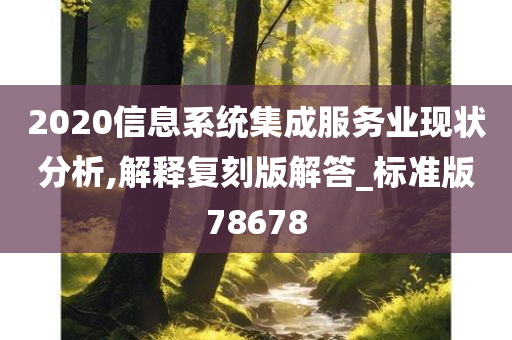 2020信息系统集成服务业现状分析,解释复刻版解答_标准版78678