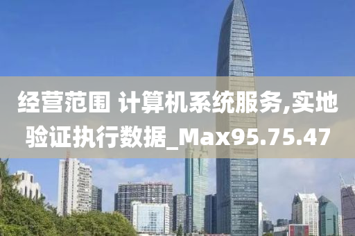 经营范围 计算机系统服务,实地验证执行数据_Max95.75.47