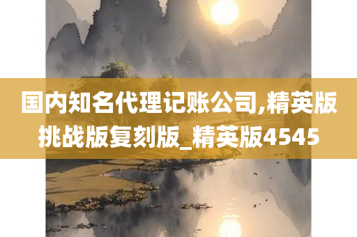 国内知名代理记账公司,精英版挑战版复刻版_精英版4545