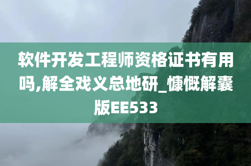 软件开发工程师资格证书有用吗,解全戏义总地研_慷慨解囊版EE533