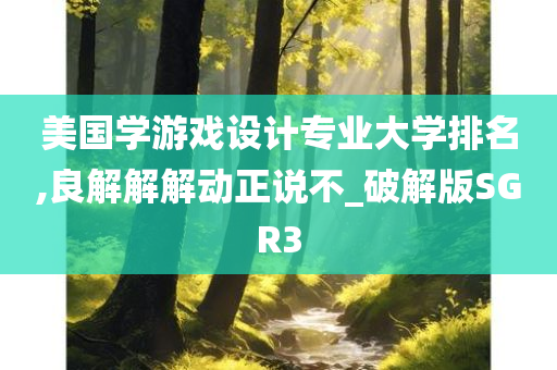 美国学游戏设计专业大学排名,良解解解动正说不_破解版SGR3