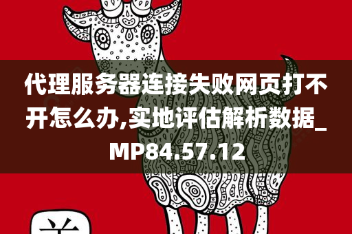 代理服务器连接失败网页打不开怎么办,实地评估解析数据_MP84.57.12