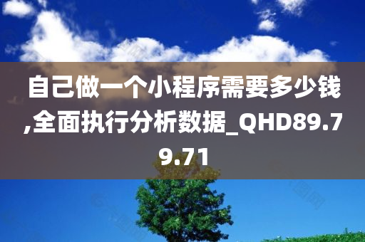 自己做一个小程序需要多少钱,全面执行分析数据_QHD89.79.71