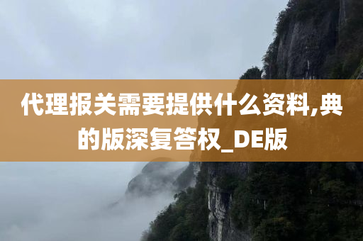 代理报关需要提供什么资料,典的版深复答权_DE版