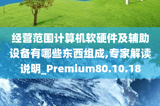 经营范围计算机软硬件及辅助设备有哪些东西组成,专家解读说明_Premium80.10.18