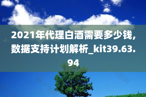 2021年代理白酒需要多少钱,数据支持计划解析_kit39.63.94