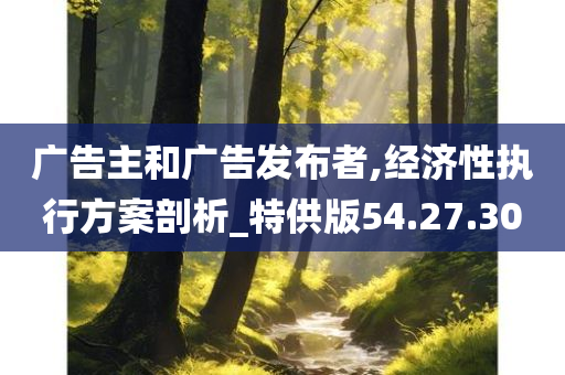 广告主和广告发布者,经济性执行方案剖析_特供版54.27.30