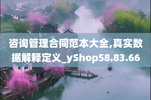 咨询管理合同范本大全,真实数据解释定义_yShop58.83.66