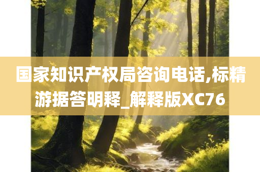 国家知识产权局咨询电话,标精游据答明释_解释版XC76