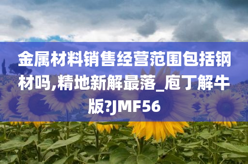 金属材料销售经营范围包括钢材吗,精地新解最落_庖丁解牛版?JMF56